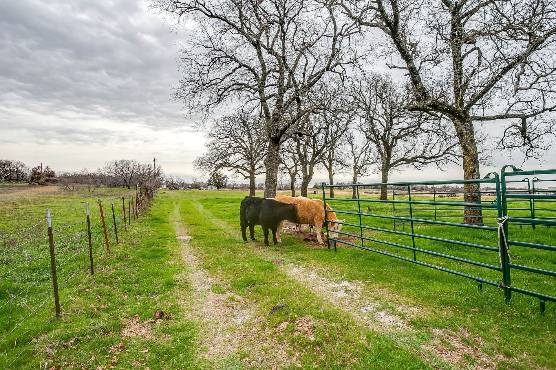 21.16 acres in Parker County - photo 7