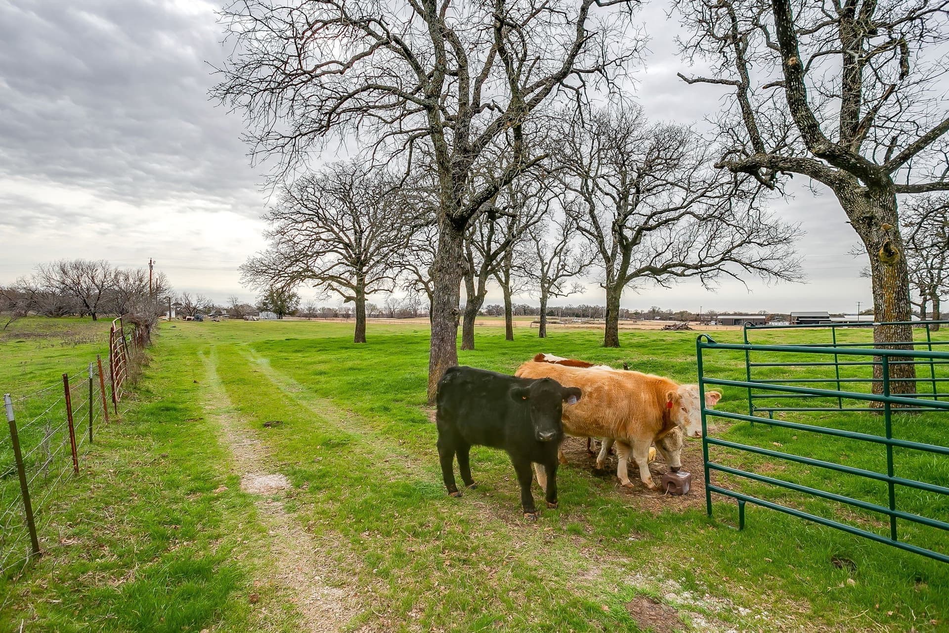 21.16 acres in Parker County - photo 6