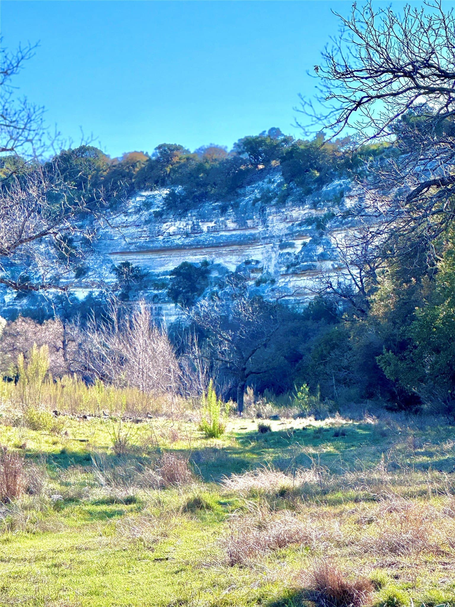 13.03 acres in Kimble County gallery image 3