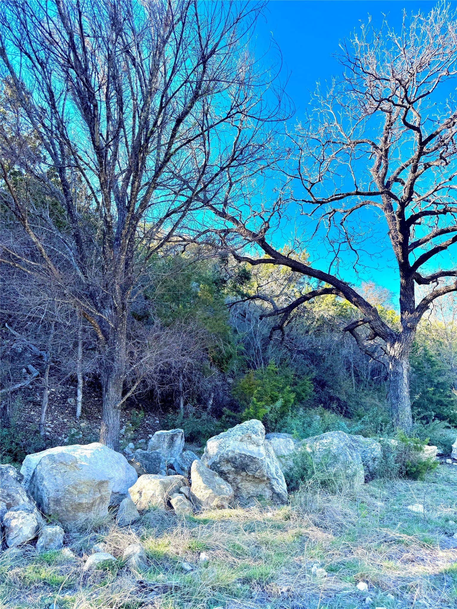 13.03 acres in Kimble County featured view