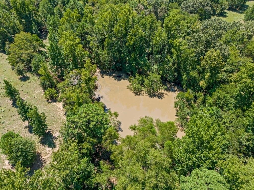 77.99 acres in Upshur County - photo 37