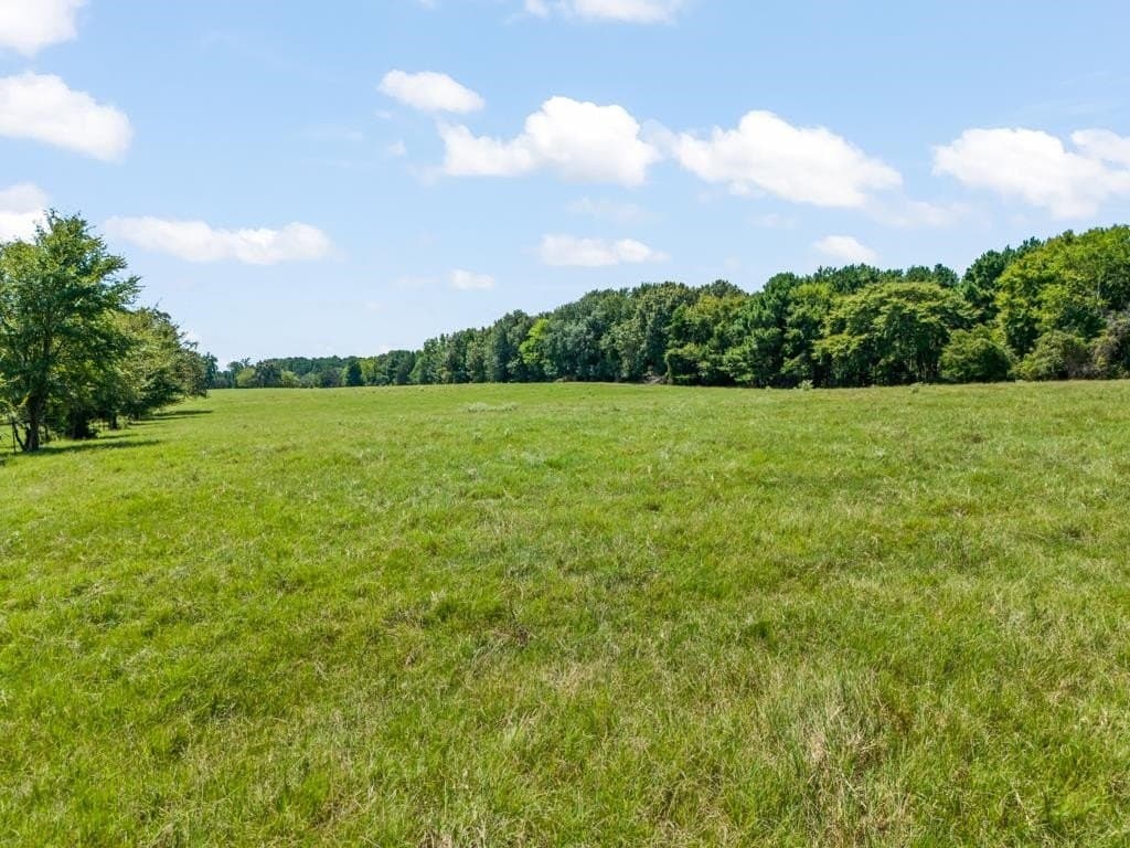 77.99 acres in Upshur County - photo 32