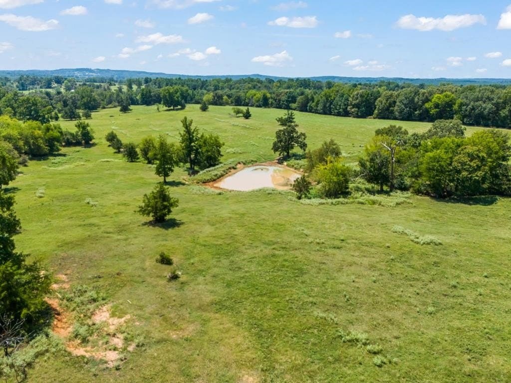 77.99 acres in Upshur County - photo 25