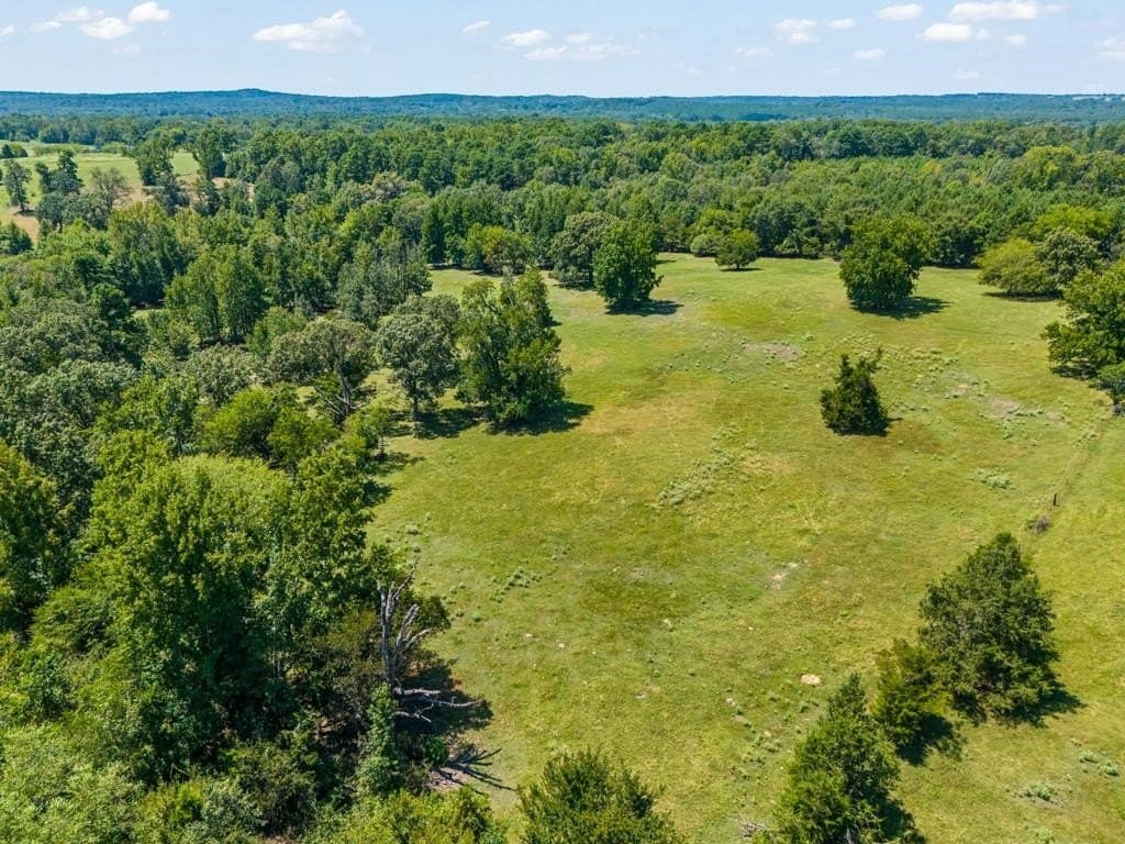 77.99 acres in Upshur County - photo 35