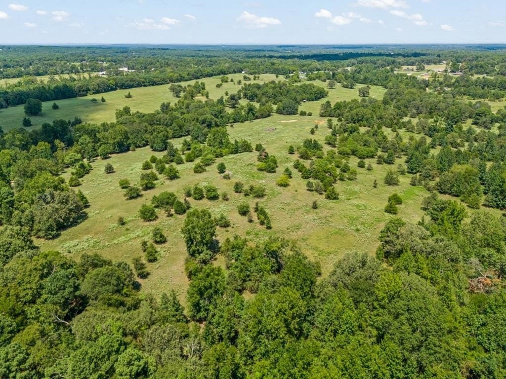 77.99 acres in Upshur County - photo 17