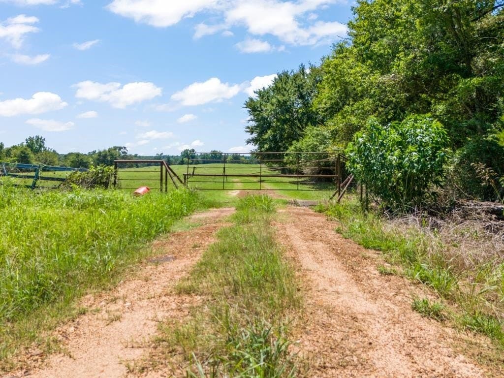 77.99 acres in Upshur County - photo 31