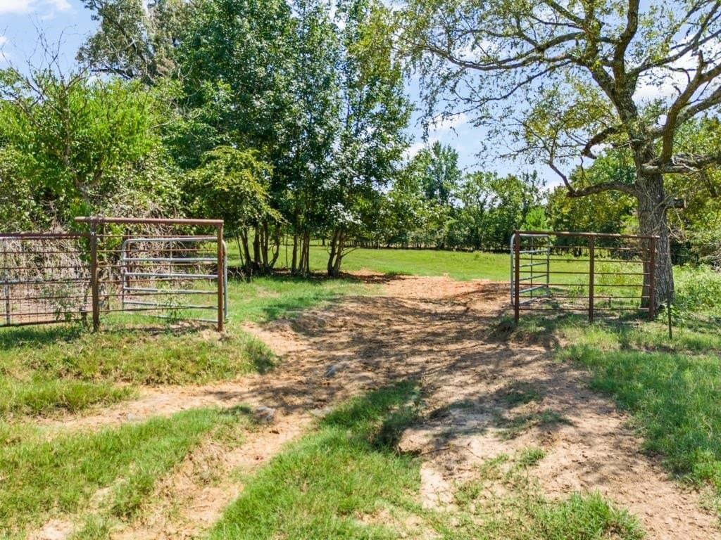 77.99 acres in Upshur County - photo 23