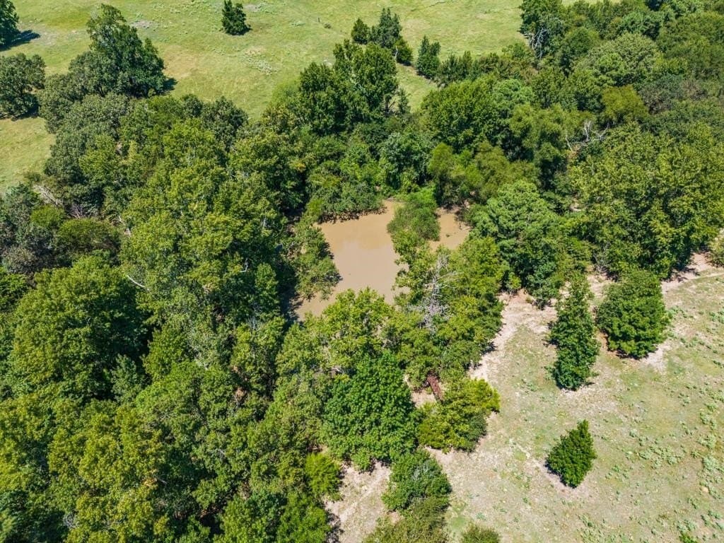 77.99 acres in Upshur County - photo 38