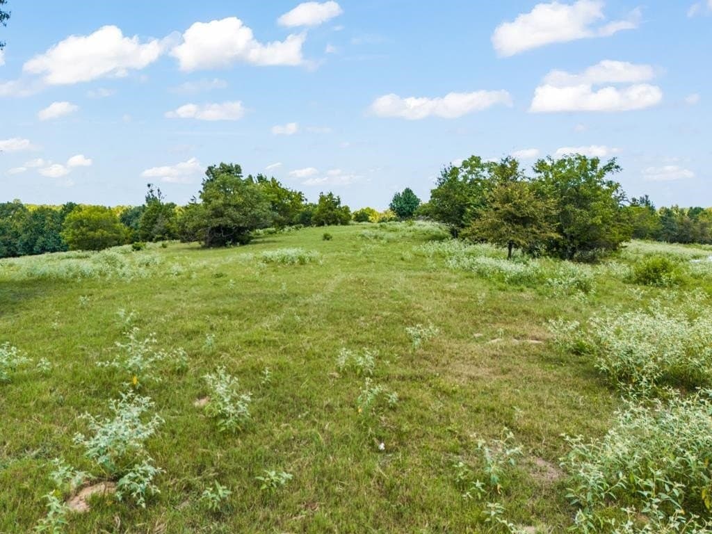 77.99 acres in Upshur County - photo 18