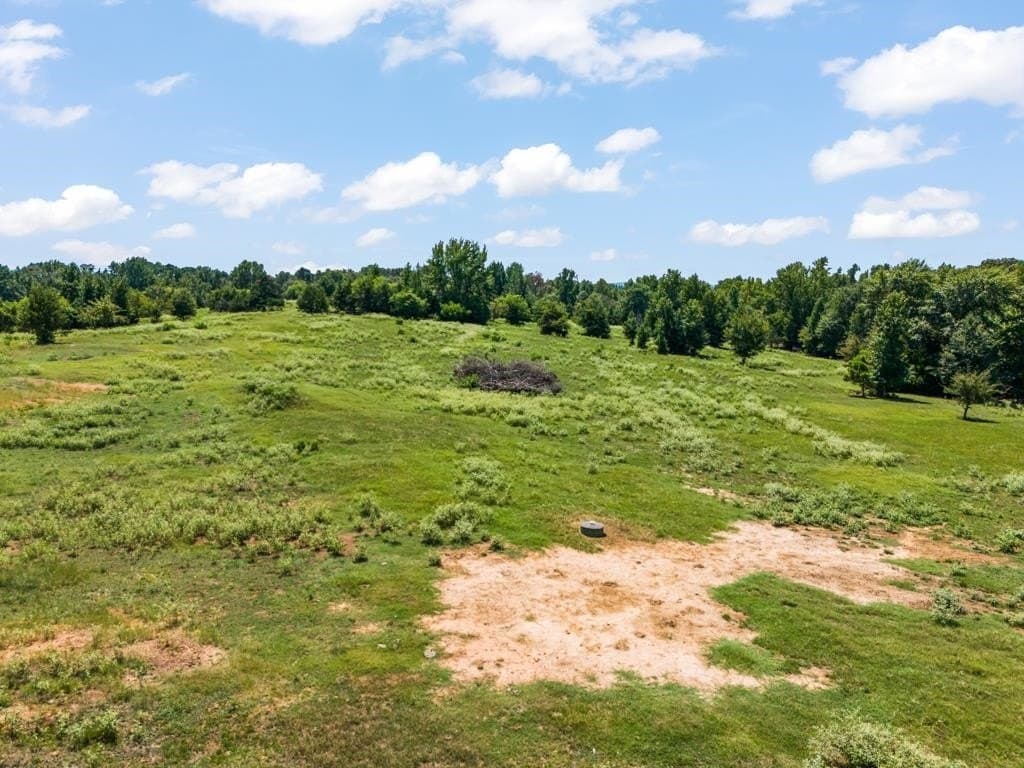 77.99 acres in Upshur County - photo 5