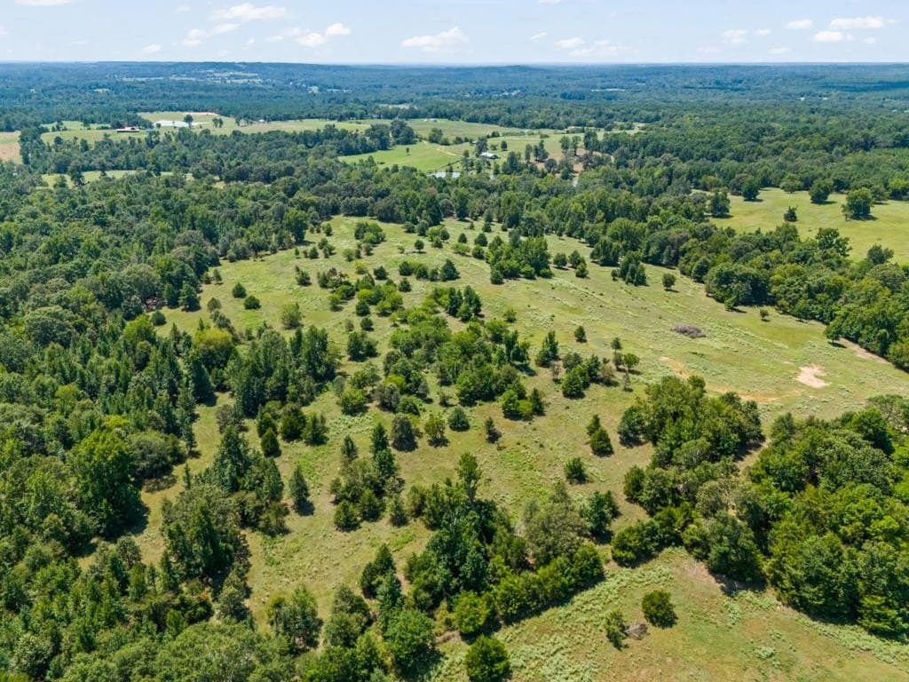 77.99 acres in Upshur County - photo 20