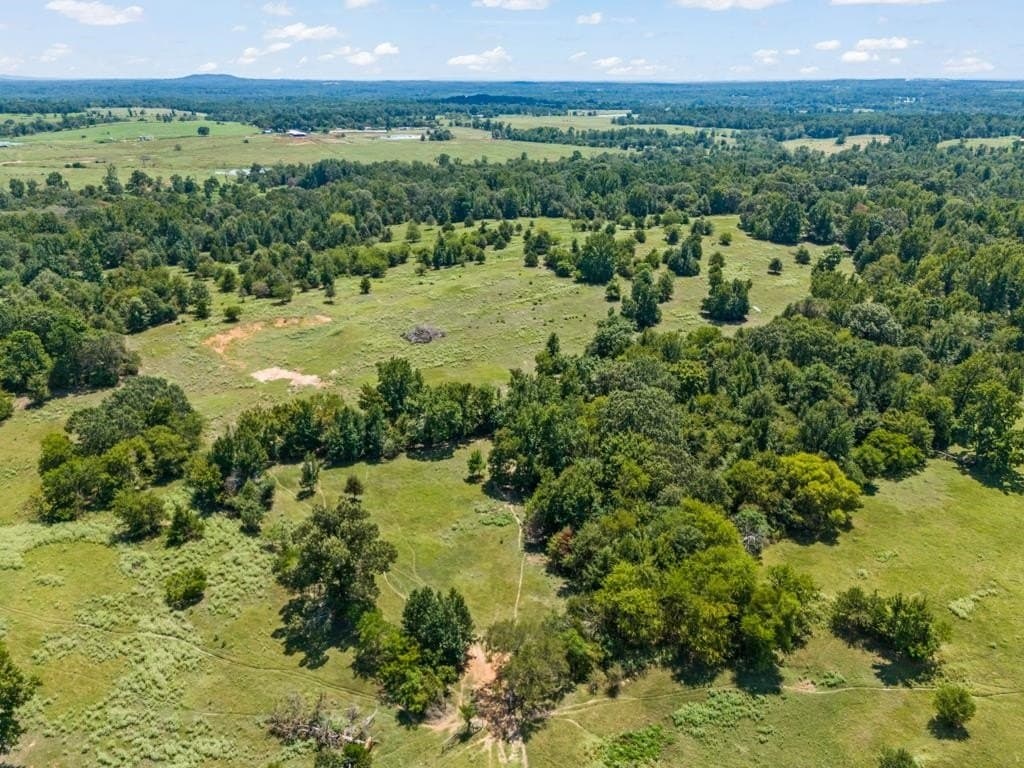 77.99 acres in Upshur County - photo 21