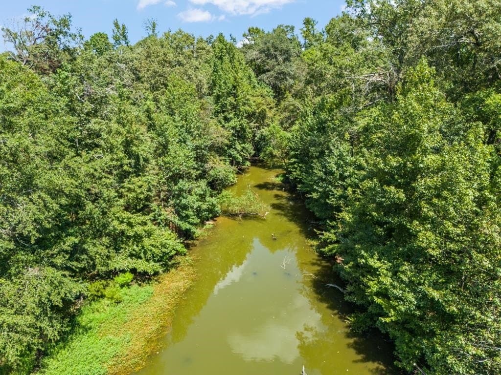77.99 acres in Upshur County - photo 15