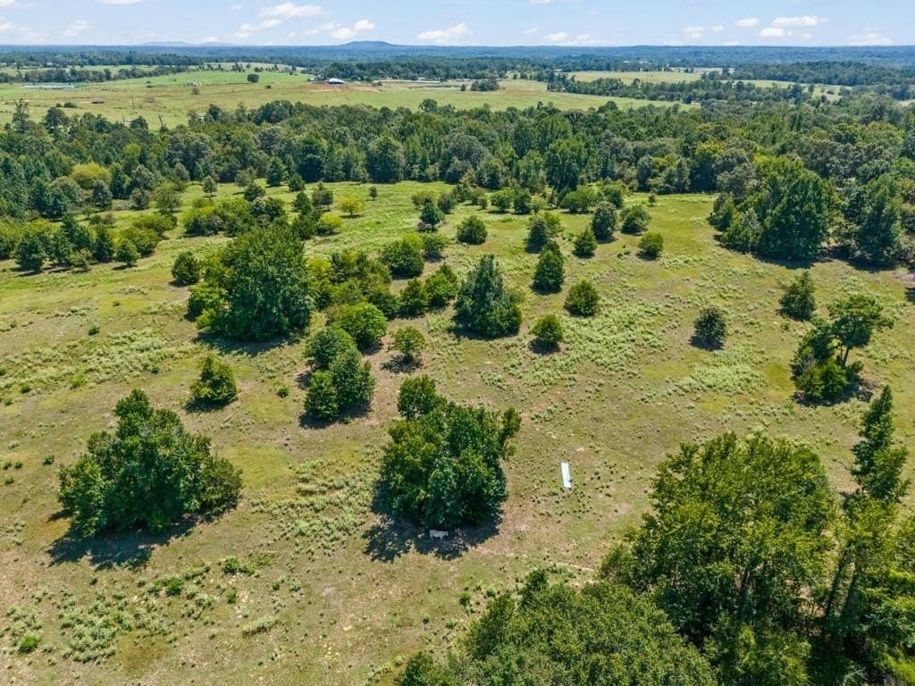 77.99 acres in Upshur County - photo 36