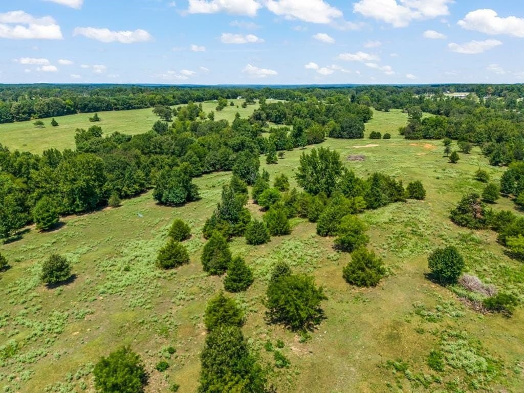 77.99 acres in Upshur County - photo 19