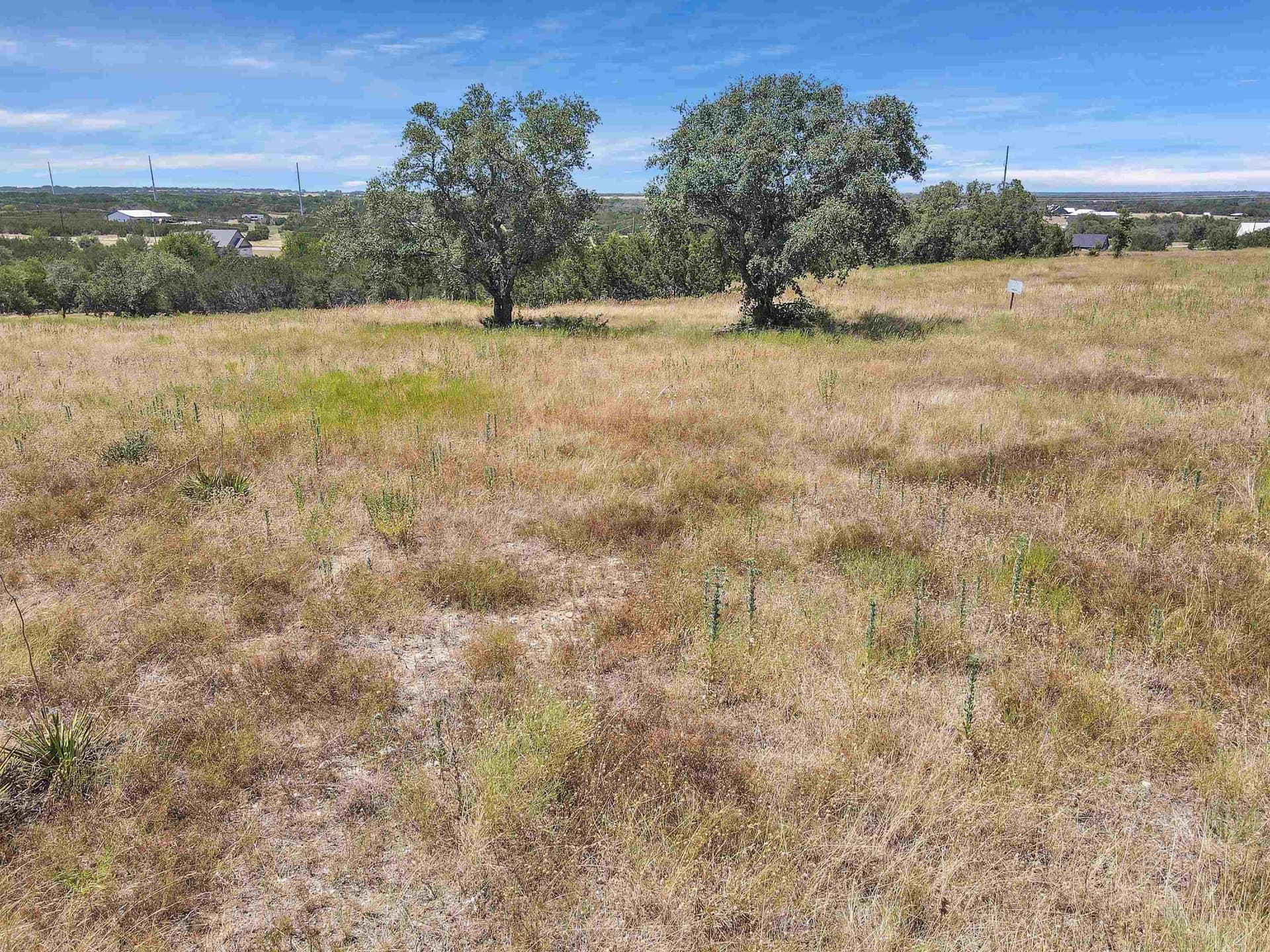 5 acres in Burnet County - photo 7
