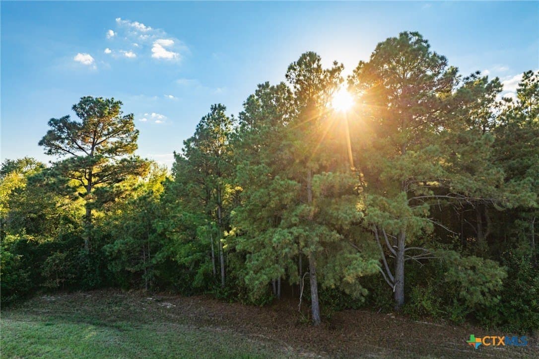 650 acres in Henderson County - photo 27