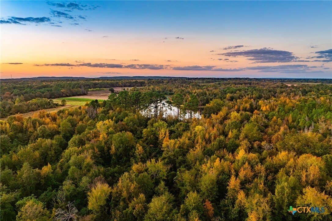 650 acres in Henderson County - photo 16