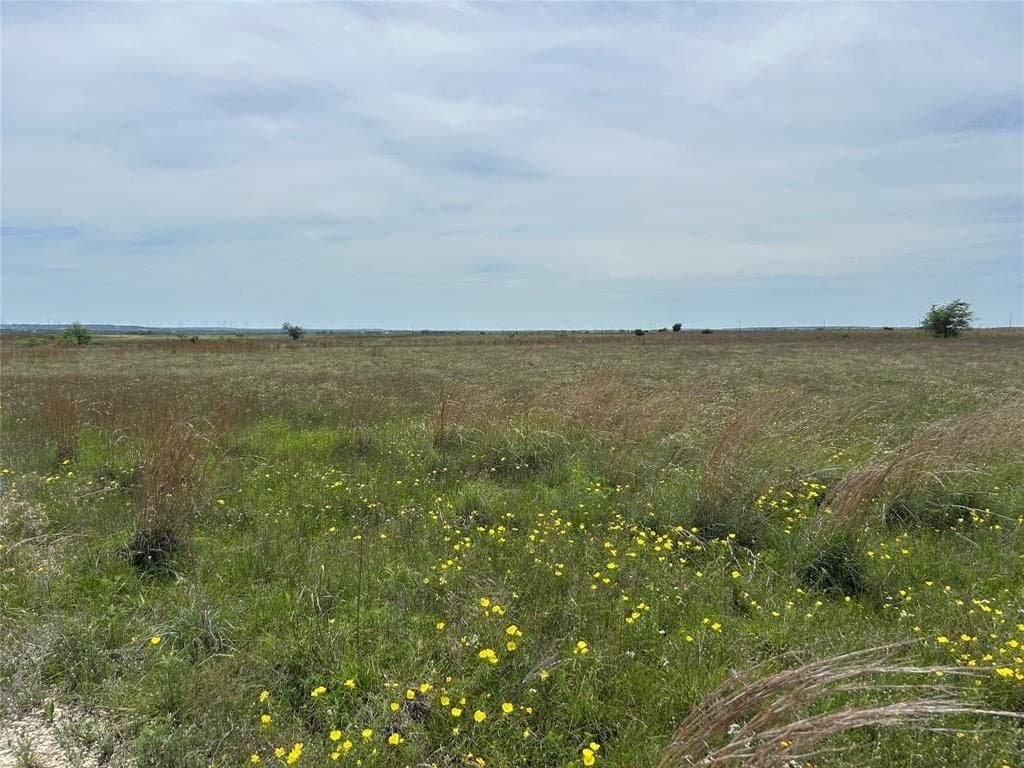 20.06 acres in Hamilton County gallery image 3