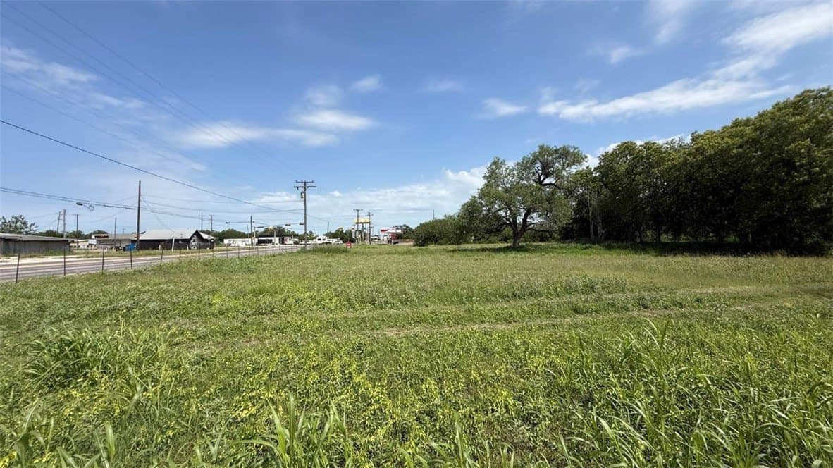 0 acres in Bee County gallery image 4