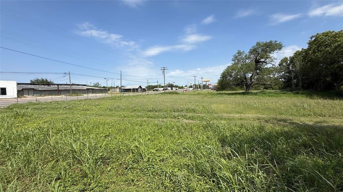 0 acres in Bee County gallery image 3