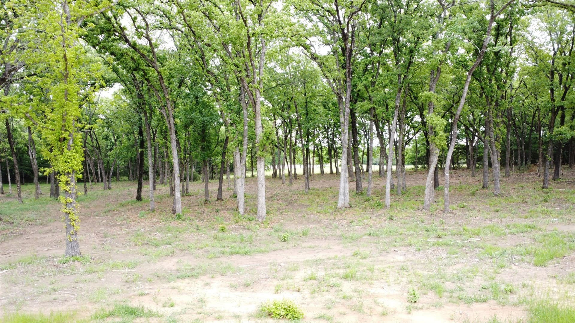 2.26 acres in Grayson County featured view