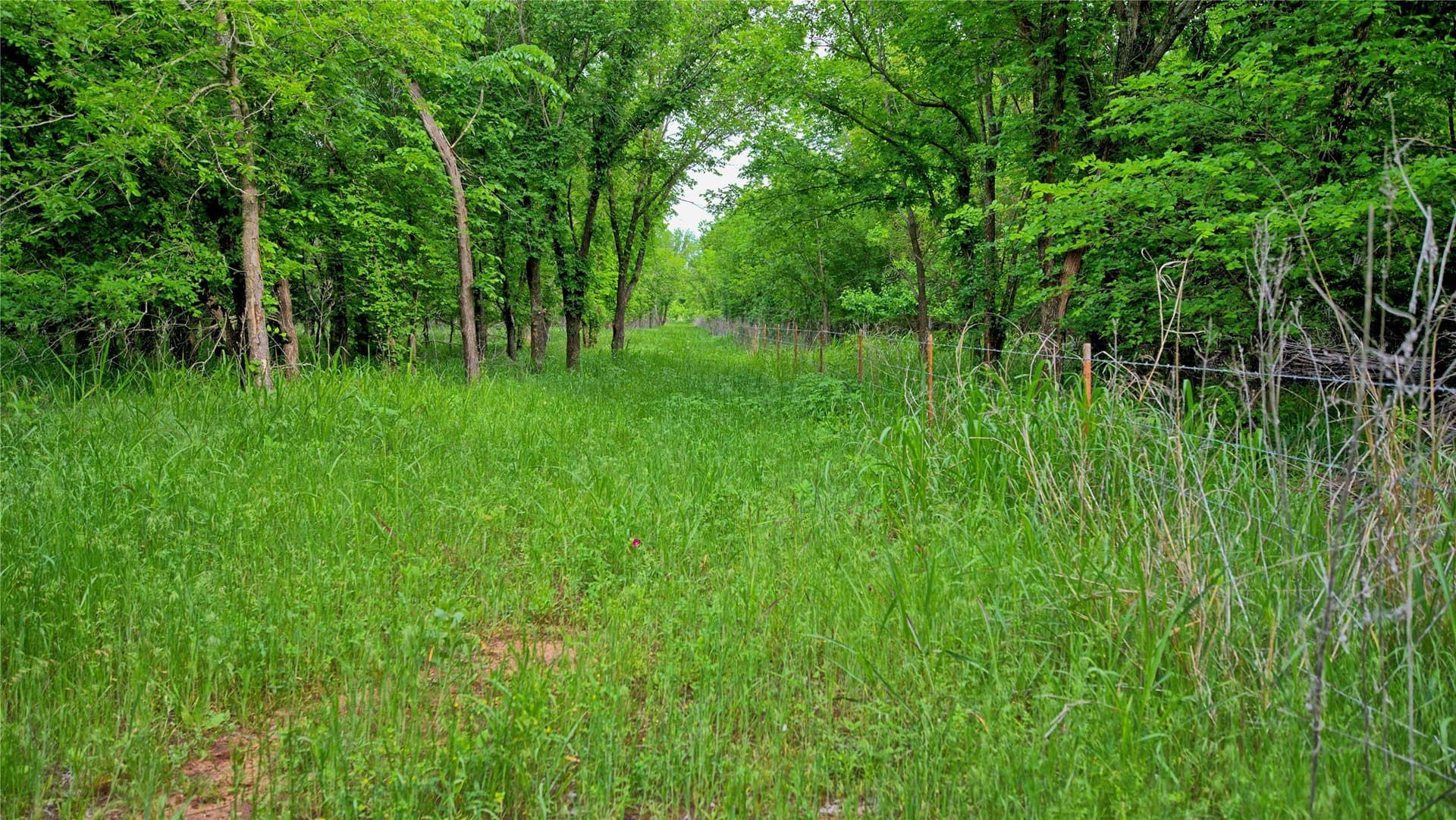 20.22 acres in Montague County - photo 10