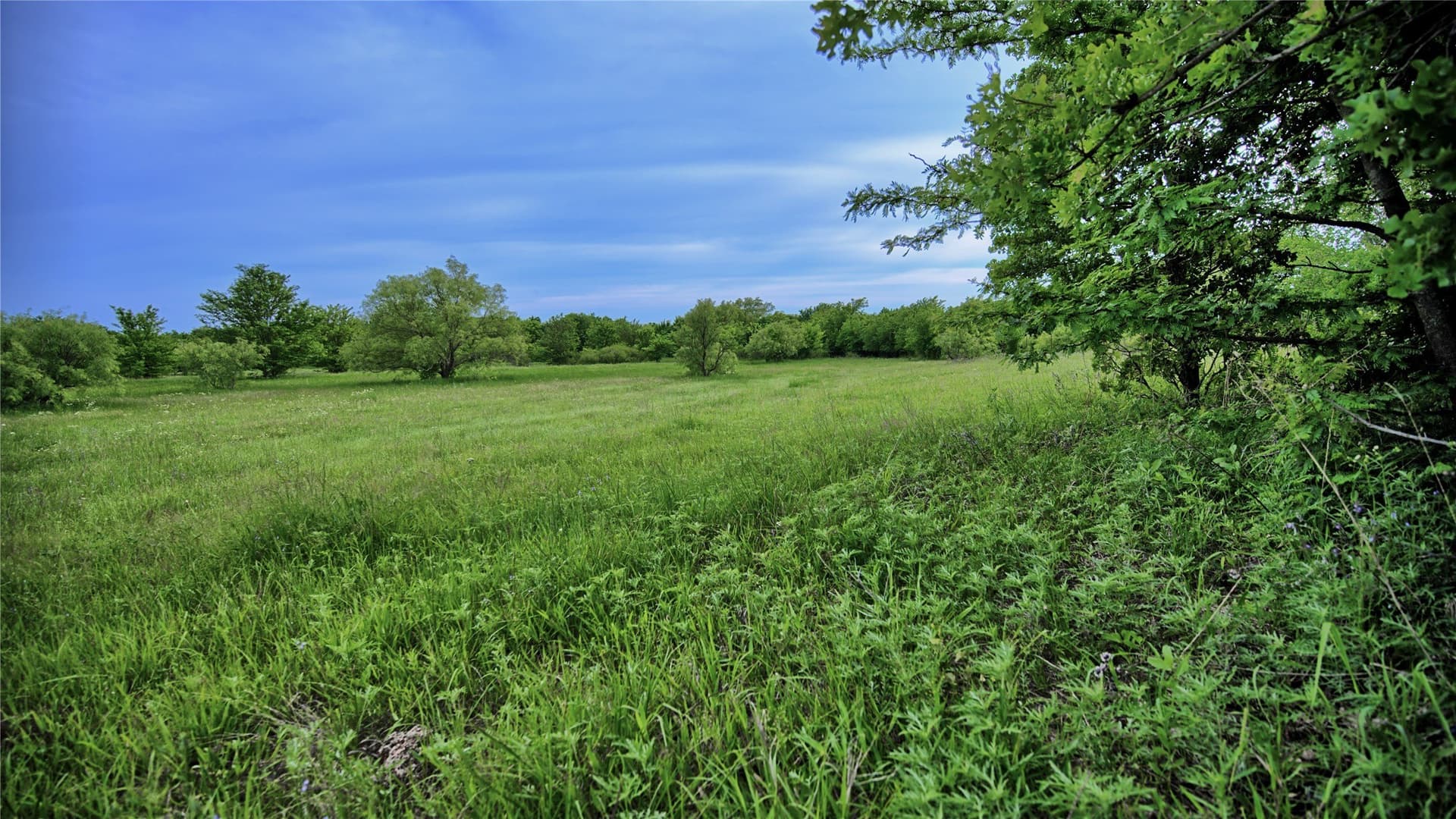 20.22 acres in Montague County - photo 9