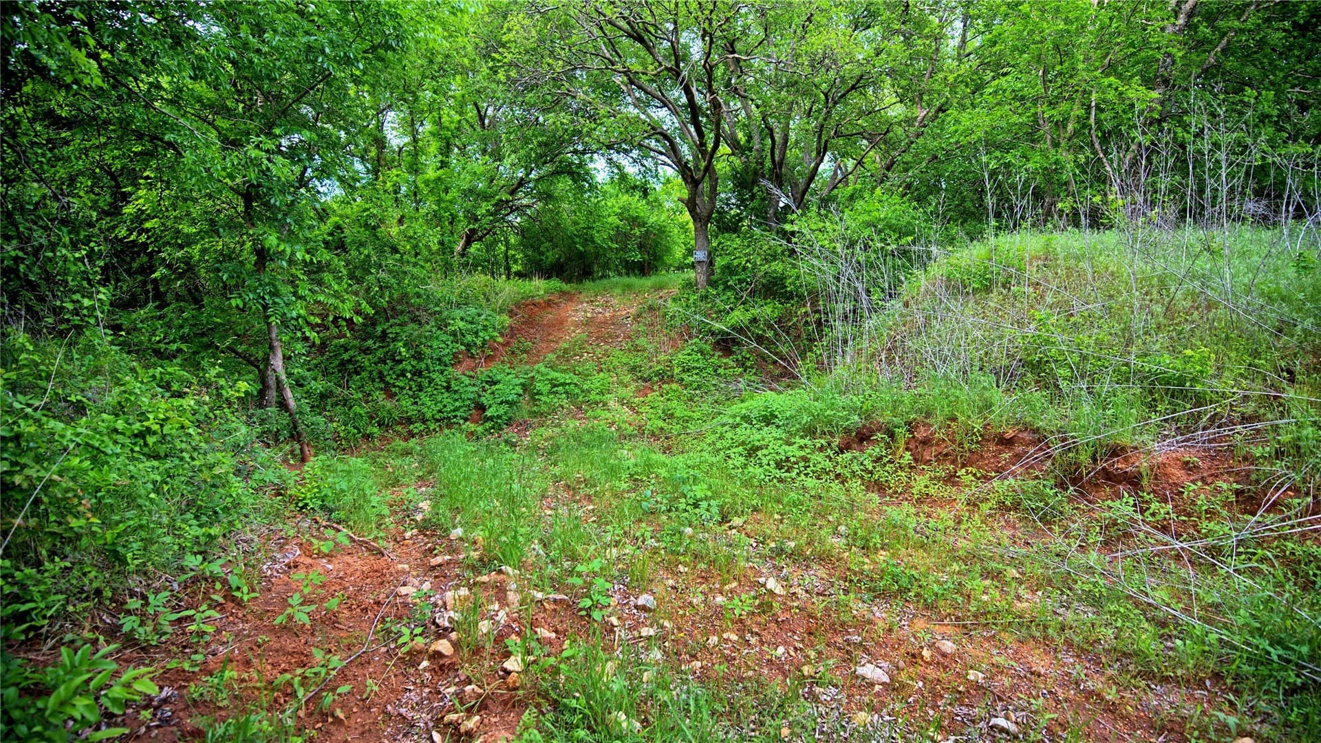 20.22 acres in Montague County - photo 28