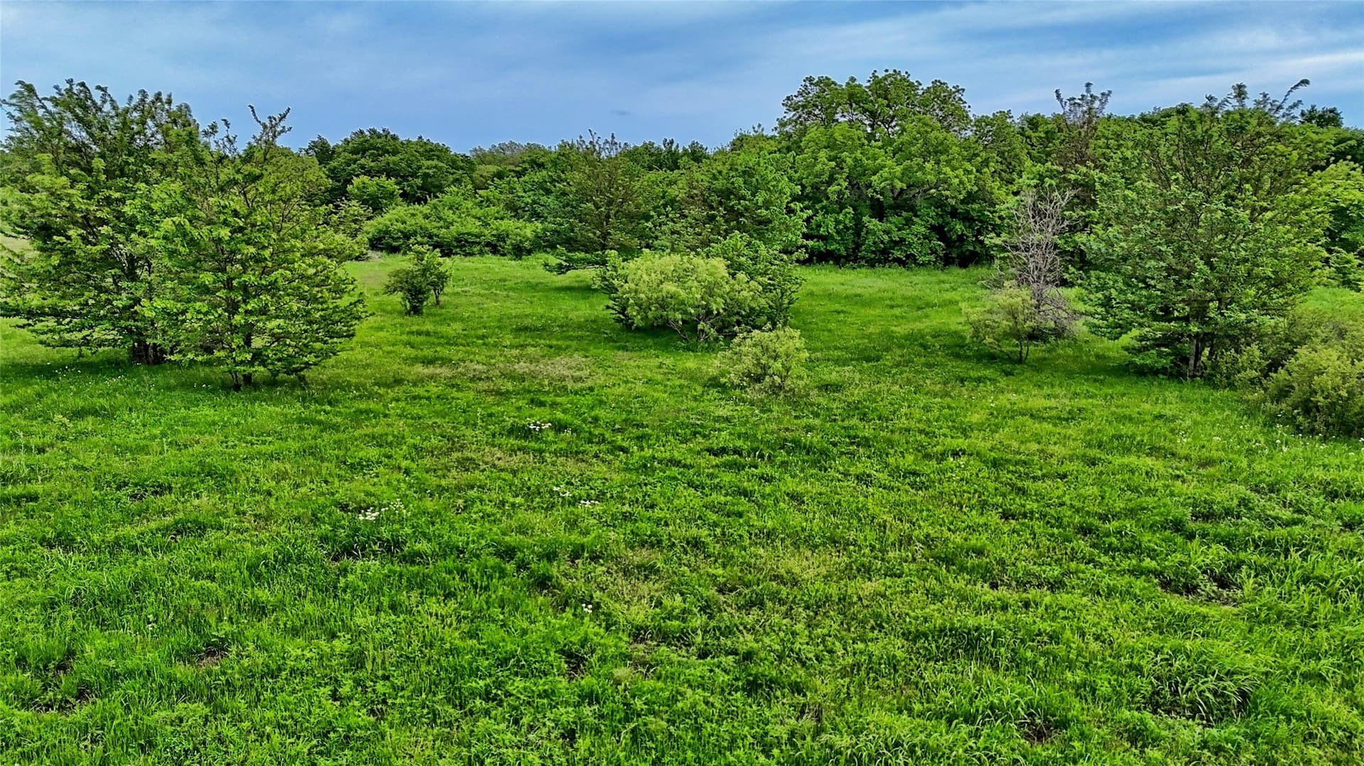 20.22 acres in Montague County - photo 8