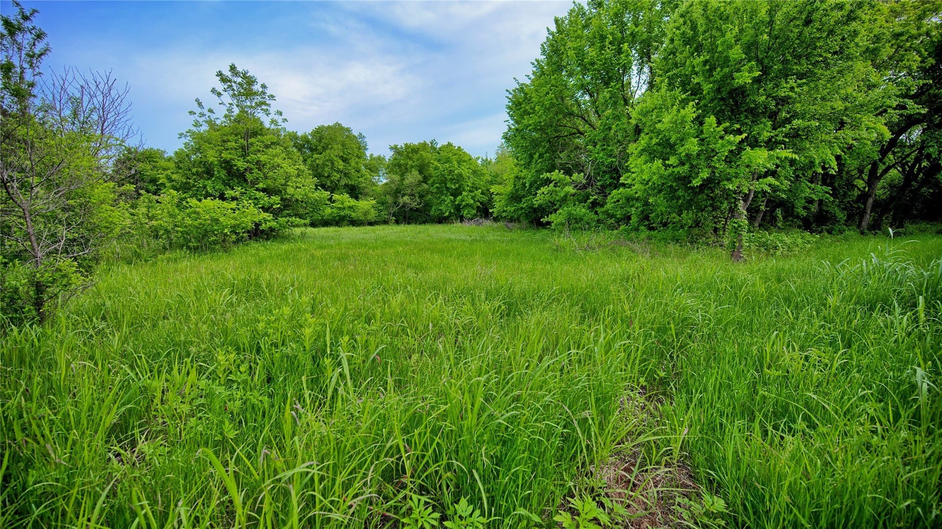 20.22 acres in Montague County - photo 17