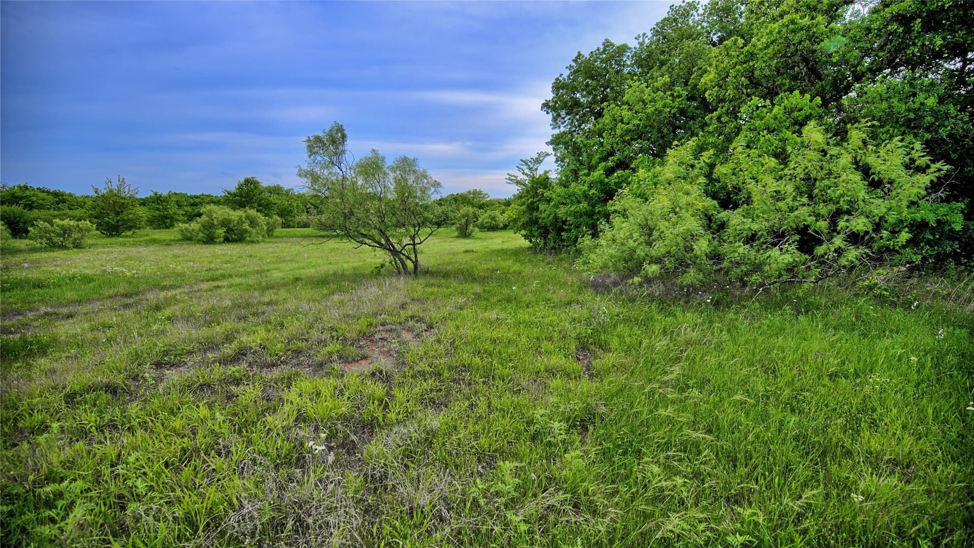 20.22 acres in Montague County - photo 15