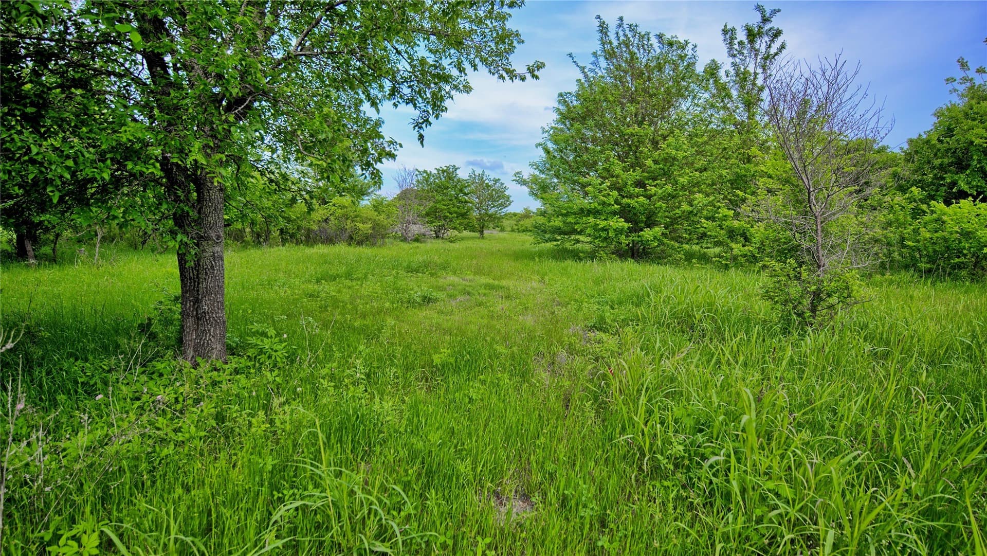 20.22 acres in Montague County - photo 31