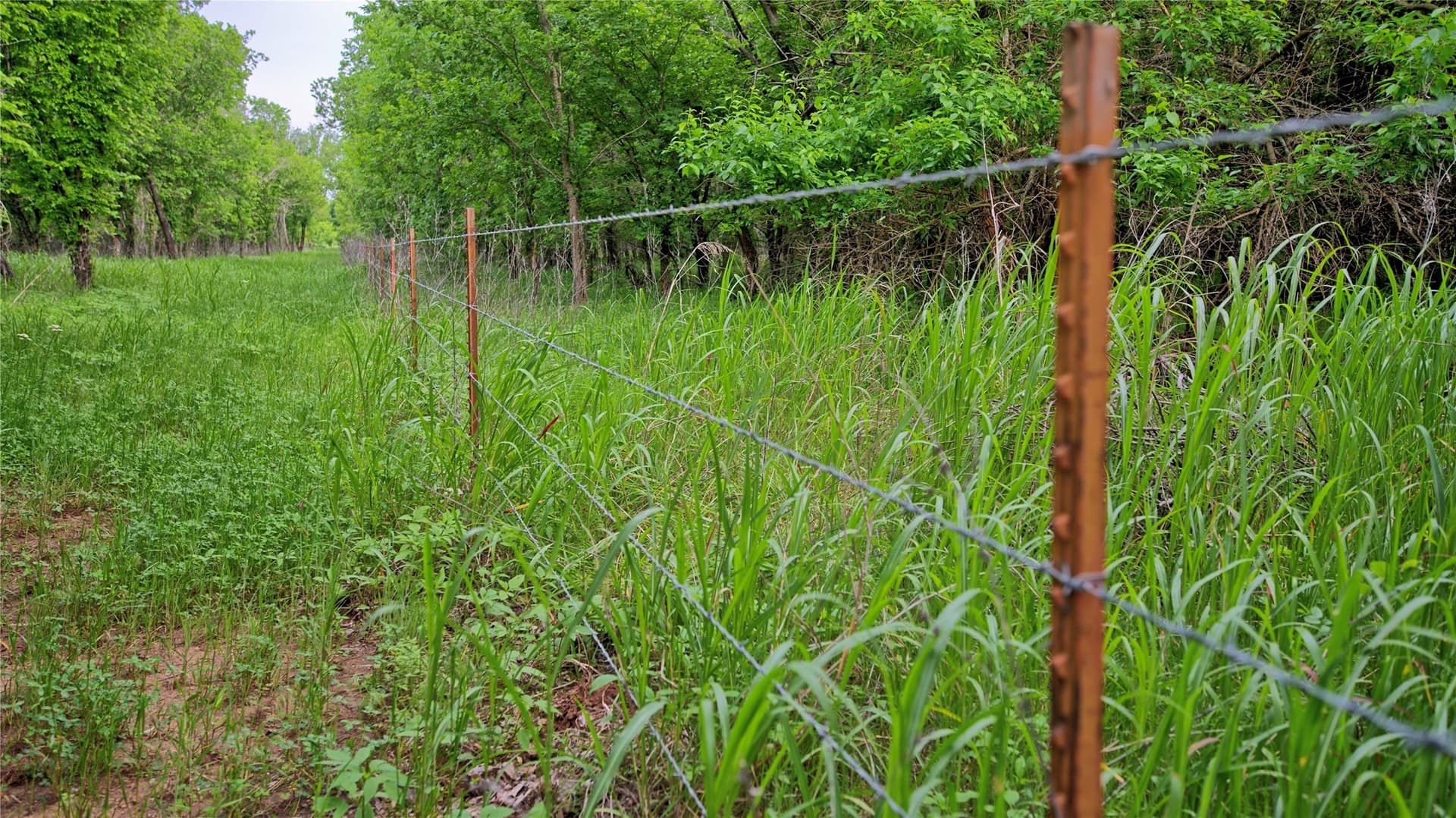 20.22 acres in Montague County - photo 20