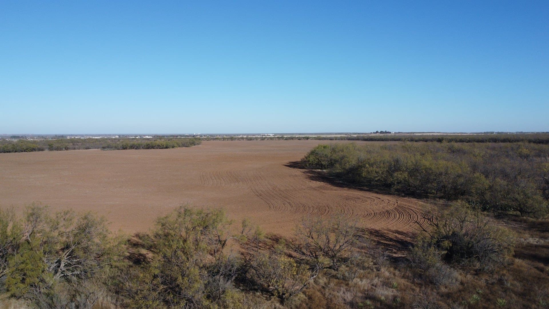 218 acres in Taylor County - photo 10