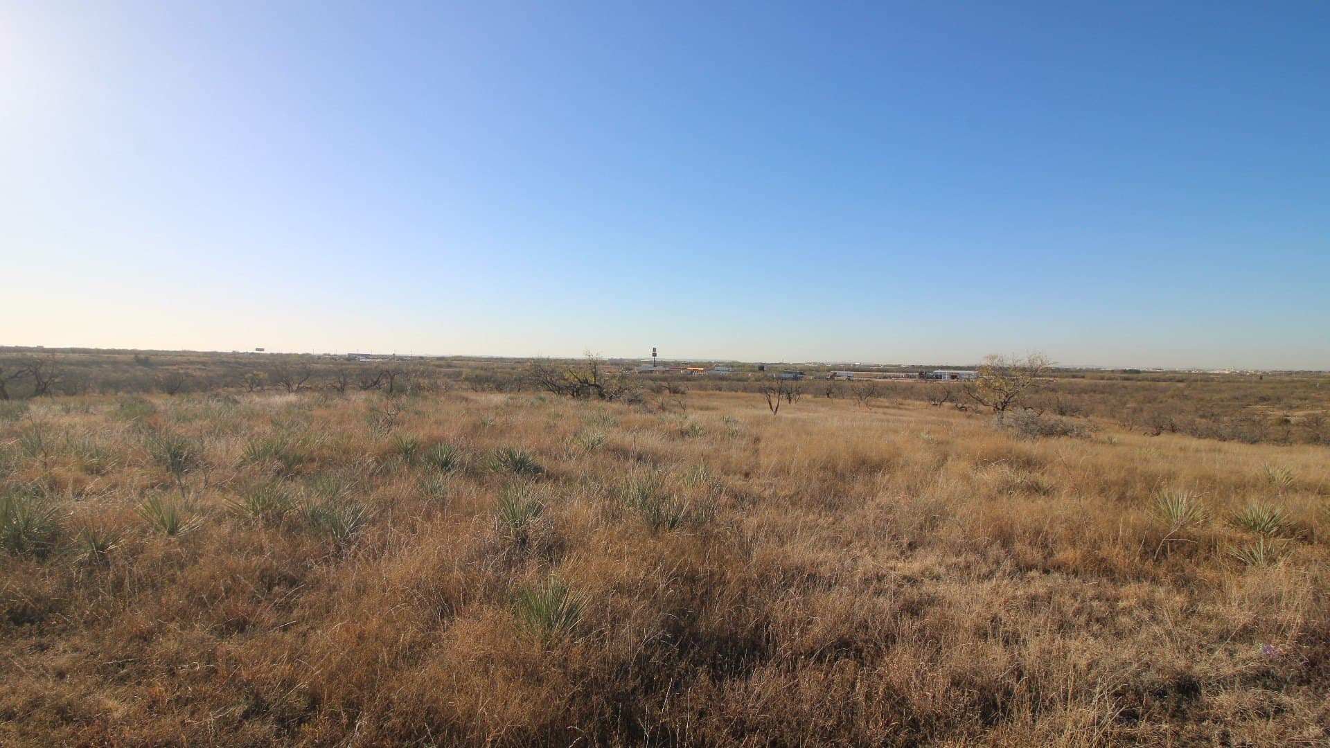 218 acres in Taylor County featured view