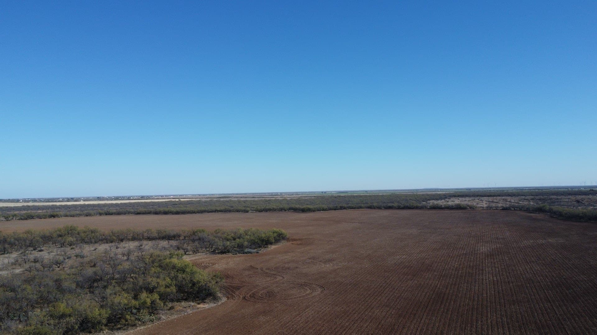 218 acres in Taylor County - photo 21