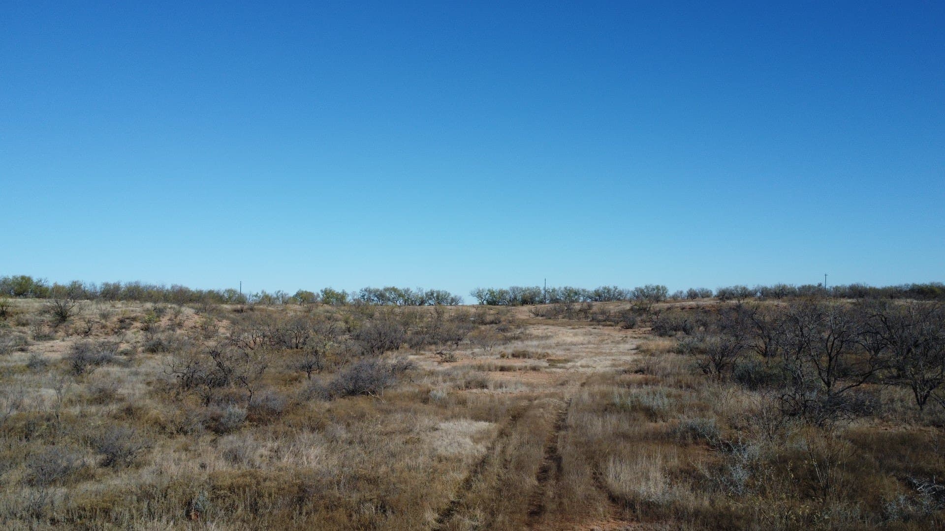 218 acres in Taylor County - photo 11