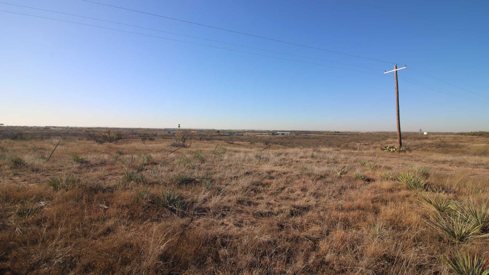 218 acres in Taylor County gallery image 4