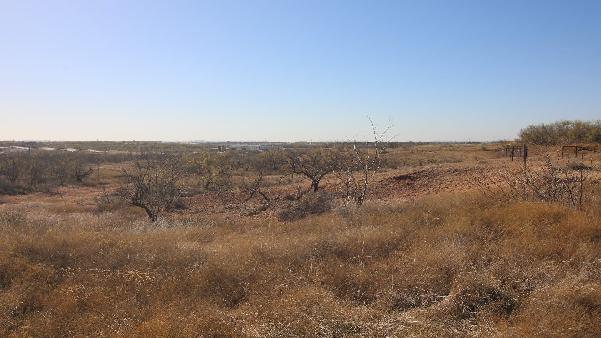 218 acres in Taylor County - photo 39