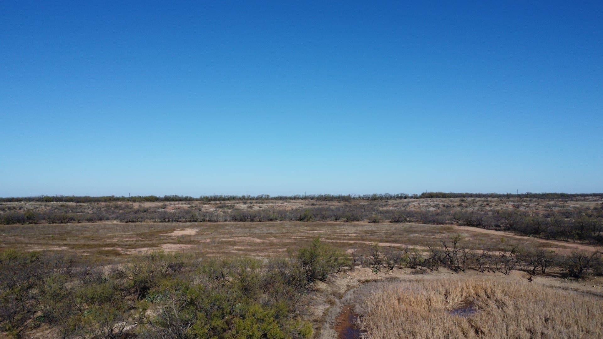 218 acres in Taylor County - photo 17