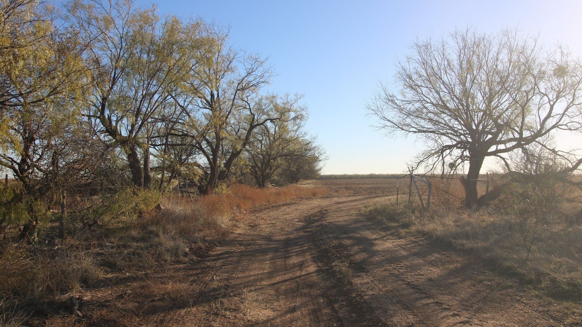 218 acres in Taylor County gallery image 3
