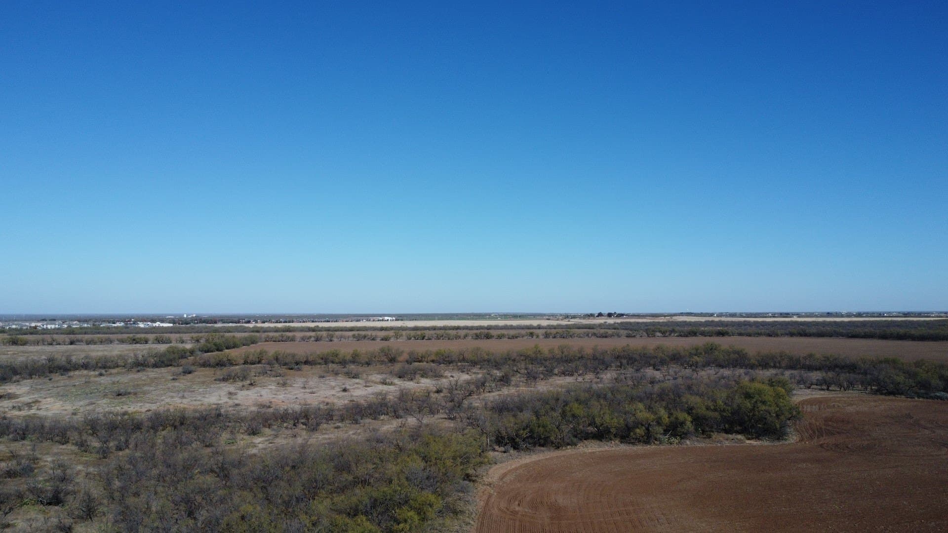 218 acres in Taylor County - photo 19