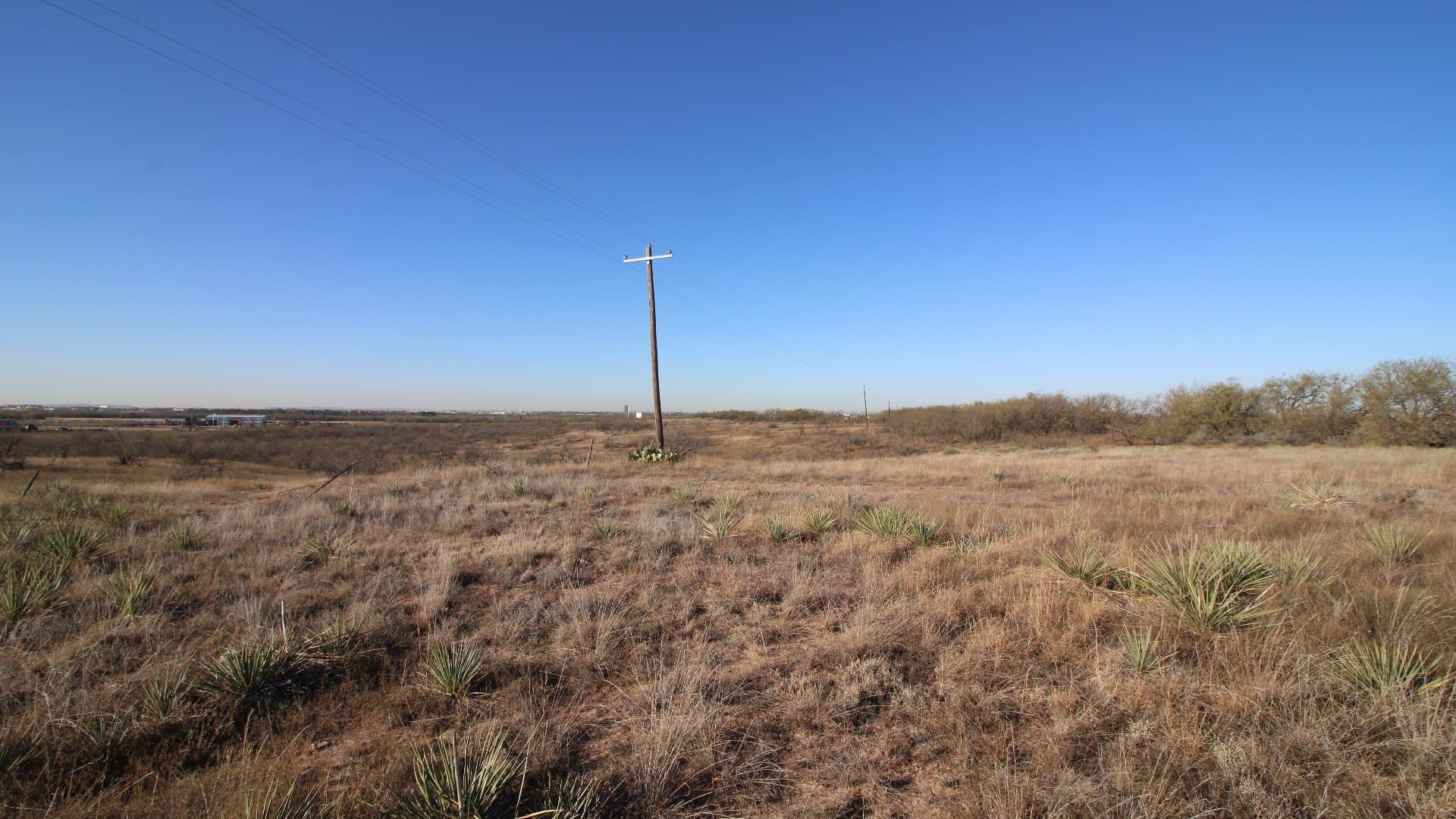 218 acres in Taylor County - photo 40