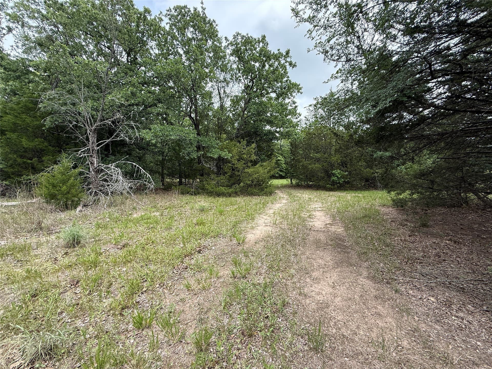27.54 acres in Navarro County - photo 7