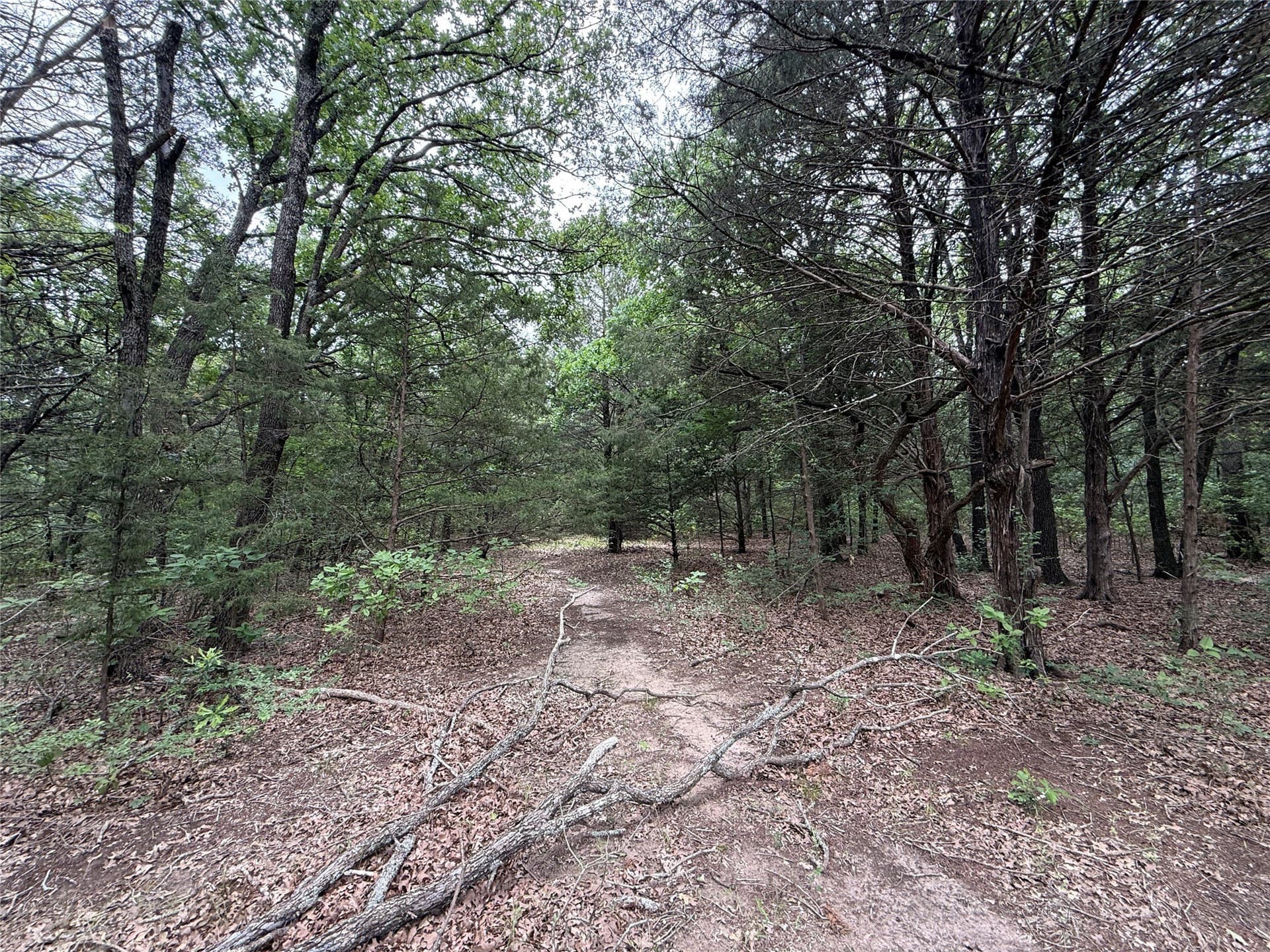 27.54 acres in Navarro County - photo 30
