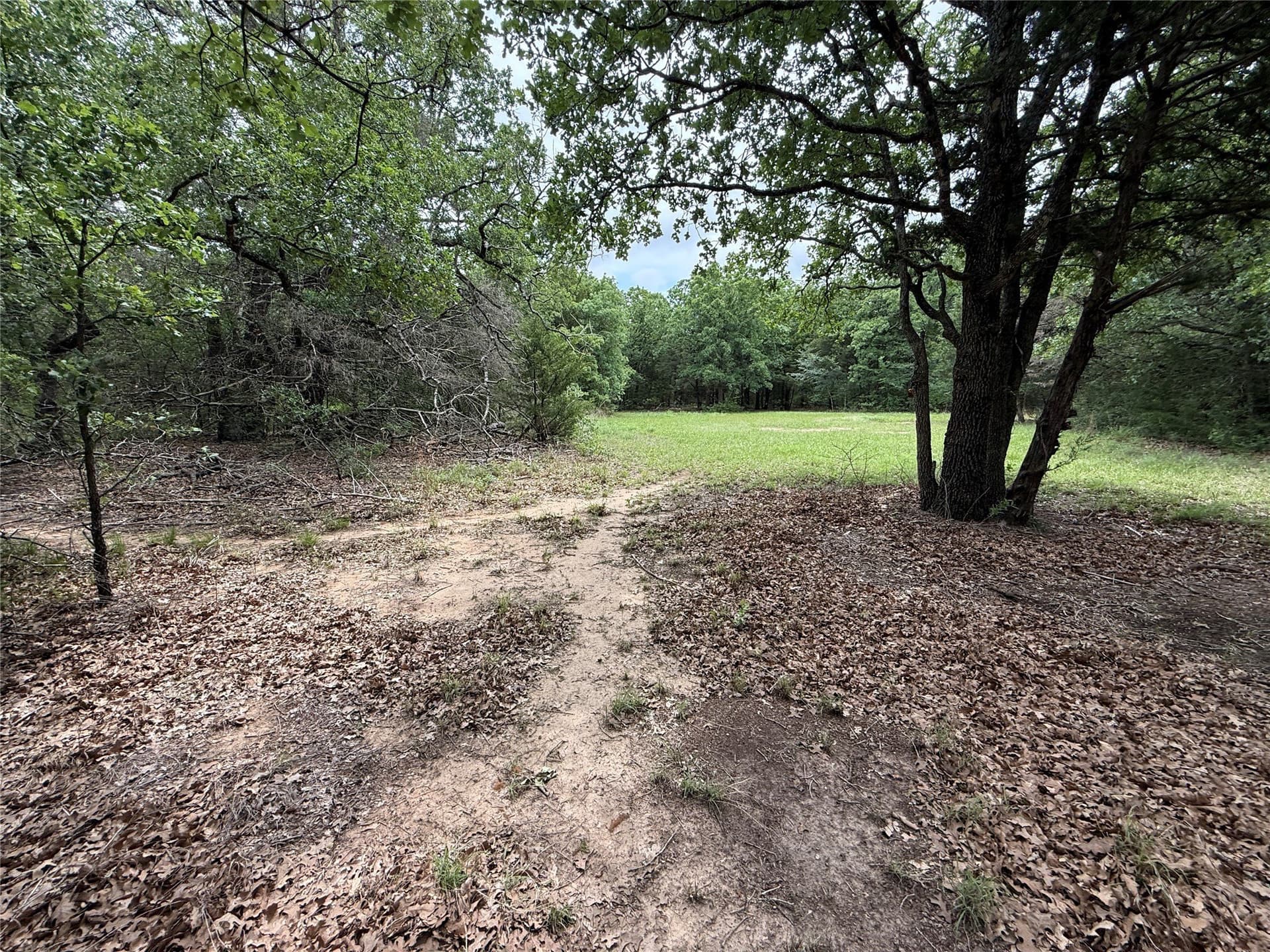 27.54 acres in Navarro County - photo 27