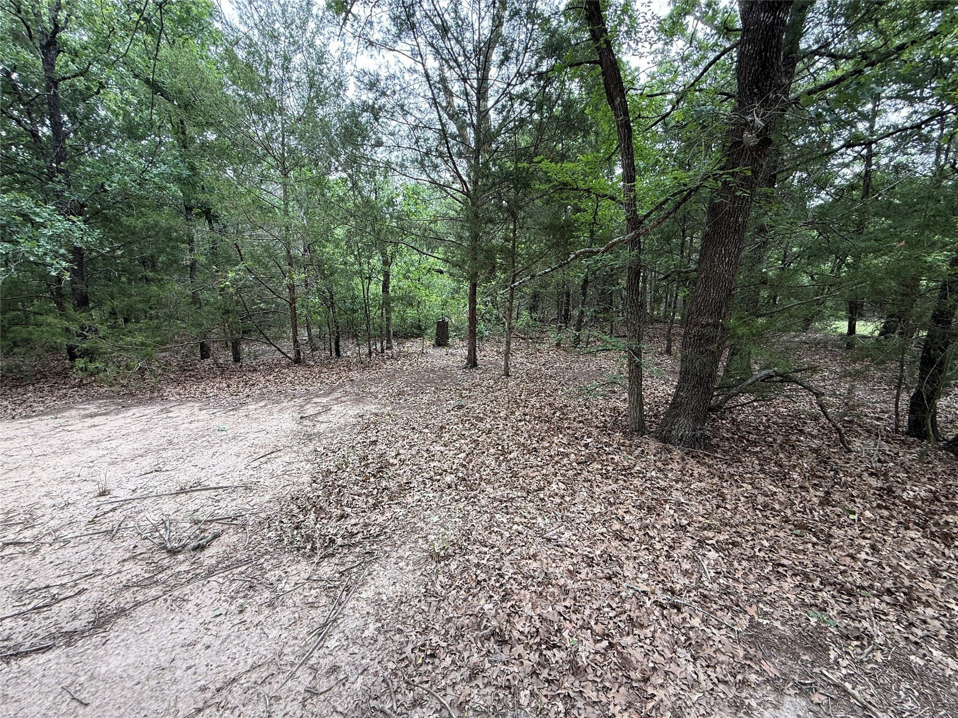 27.54 acres in Navarro County - photo 19