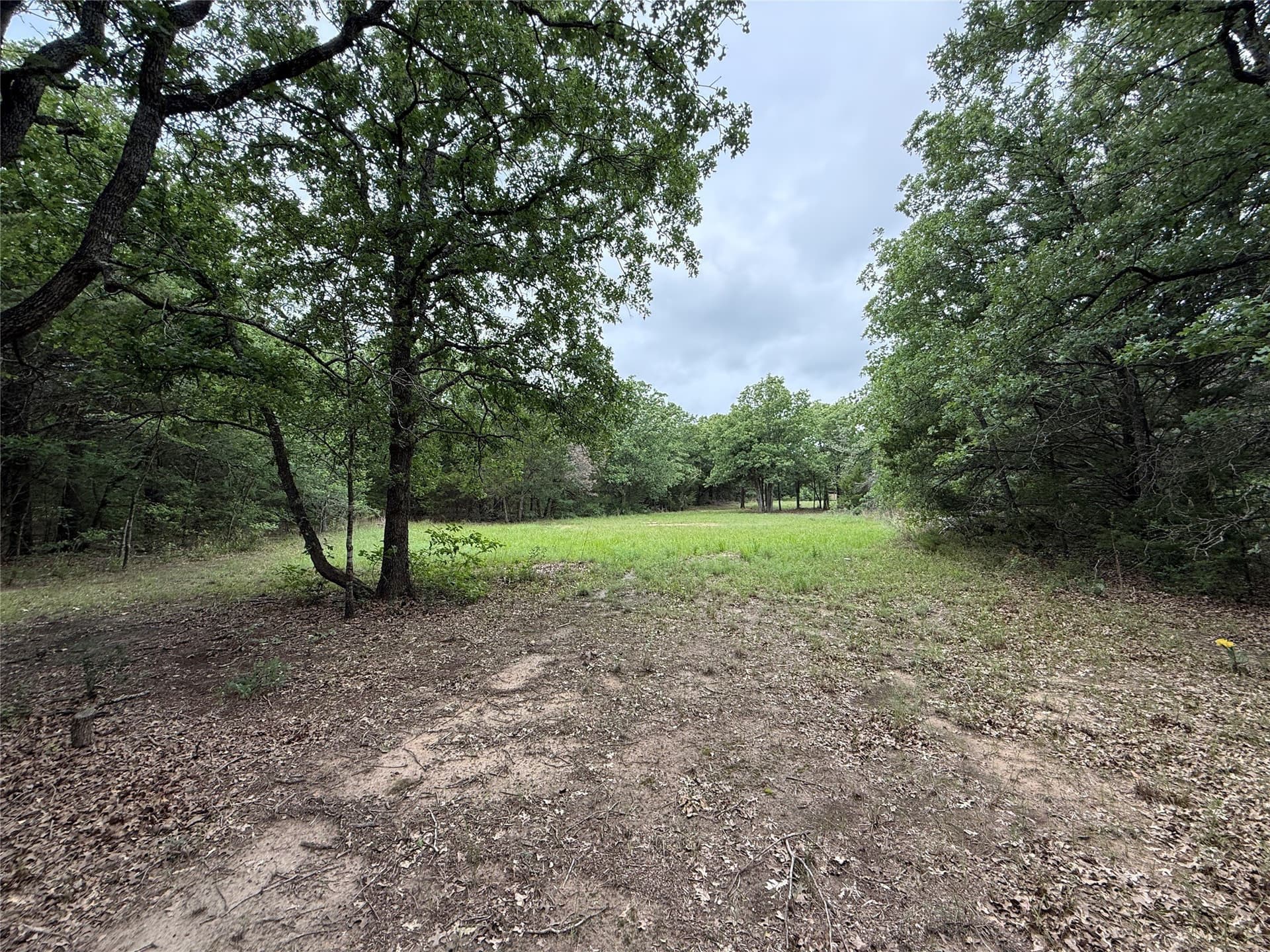 27.54 acres in Navarro County - photo 33