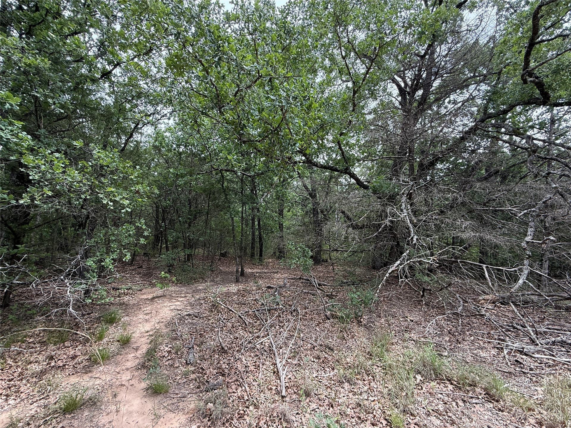 27.54 acres in Navarro County - photo 28